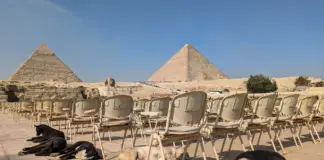 Un perro callejero alcanza la cima de la Pirámide de Guiza y despierta el debate sobre los animales en Egipto