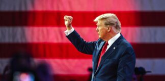Donald Trump Gana la Presidencia: ¿Qué Significa para el Futuro de las Criptomonedas?