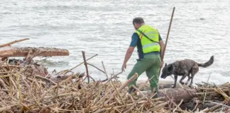 Desaparecidos en el Turia, las playas y la Albufera: "La corriente ha traído cadáveres"