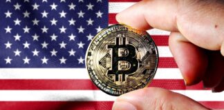 Bitcoin Registra Volúmenes Masivos Mientras los Inversores Evalúan la Llegada de Trump a la Casa Blanca