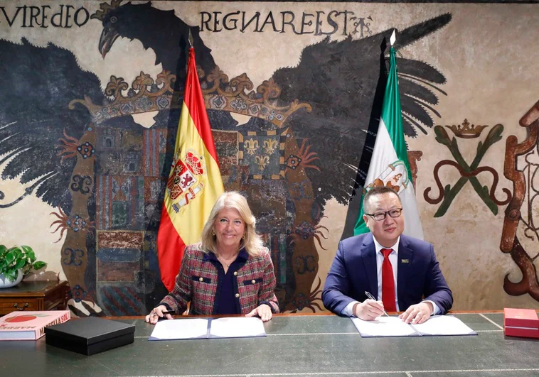 Marbella se lanza a por el turista chino de alto poder adquisitivo