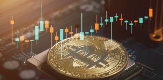 Se Disparan las Acciones de Empresas de Minería de Bitcoin Tras Victoria de Trump