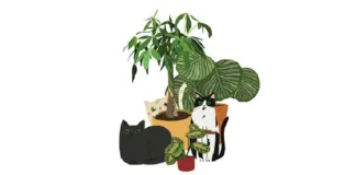 Marta Rosique, ambientóloga: "Convivir con gatos implica un enfoque más consciente al elegir nuestras plantas"