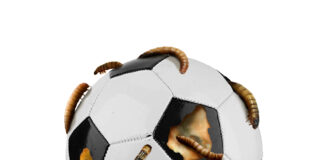 El peronismo del fútbol español: 'barones' que frenan alternativas con el aval del miedo, clubes que temen a los árbitros y jugadores y colegiados temerosos de su futuro