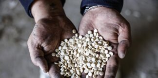 Captagon, la droga que convirtió a Siria en un narcoestado bajo el mando de El Asad
