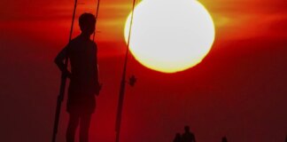 La Tierra arde: 2024 se despide como el año más caluroso y los expertos afirman que los próximos serán "destructivos y mortales"