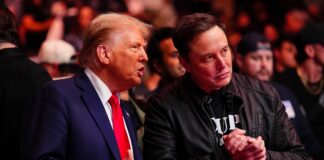 Trump respalda a Elon Musk y las visas para trabajadores cualificados frente a los halcones antiinmigración republicanos