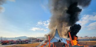 Fallecen al menos 28 personas en un accidente aéreo en Corea del Sur