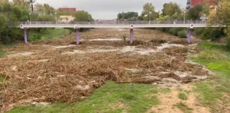 ¿Cómo pudo afectar la vegetación en las inundaciones de la DANA? El científico del CSIC Fernando Valladares da la respuesta