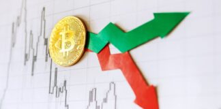 Bitcoin Impulsa Movimientos de Dos Dígitos en las Memecoins: Gigachad Sube y Moo Deng Cae
