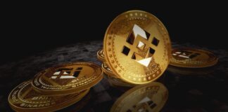 BNB de Binance Alcanza Máximo Histórico Mientras Las Altcoins se Disparan Junto a Bitcoin