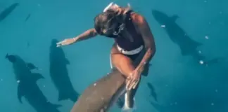 Graba el momento en el que un tiburón la muerde mientras buceaba