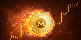 Monero se Dispara a un Máximo de Dos Años: ¡Regresan las Criptomonedas de Privacidad!