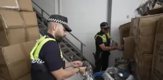 Más sofisticadas y de alta gama: la lucha de la Policía Local de Sevilla contra las falsificaciones