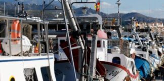 Planas celebra el pacto de pesca de la UE para 2025 sobre el arrastre en el Mediterráneo