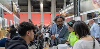 Los bodegueros se conjuran para hacer más atractivo el vino entre el público joven
