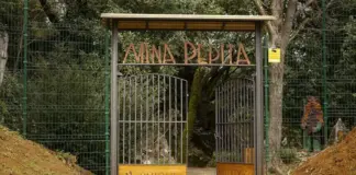 Un paseo por un 'parque mitológico' en Cantabria con grandes árbolesy curiosas criaturas