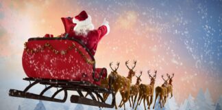 Lista VIP de Santa Claus: Siete Líderes Cripto que Brillaron en 2024