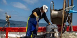 Vox denuncia la reducción de cuotas pesqueras del Mediterráneo propuesta por Bruselas