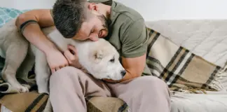 No sacudir su cama, no lavar su cuenco... Rutinas que ponen en peligro la salud de los perros