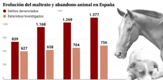 Los datos del maltrato animal en España: "Muchos casos son de animales que no reciben los cuidados más básicos"