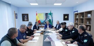 Marbella pone en marcha un dispositivo de seguridad especial en Navidad con 170 efectivos de distintos cuerpos de seguridad y emergencias