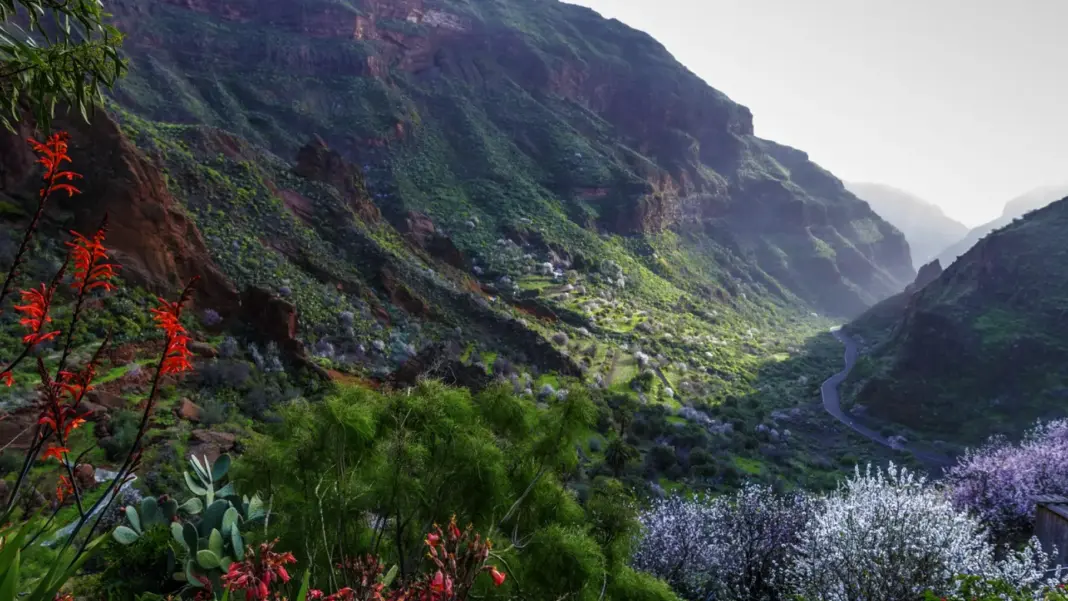 La isla que esconde mucho más que playas: descubre todos los secretos de Gran Canaria