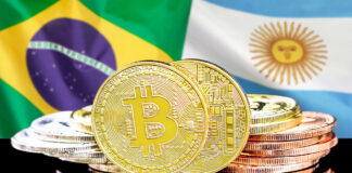 Bitcoin Lidera en Argentina, Mientras USDT y Ethereum Dominan en Brasil