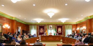 Marbella aprueba de manera inicial su presupuesto de 414 millones, ligado al desarrollo urbanístico