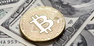 Compras de ETFs de Bitcoin y Ethereum Caen 90% Tras Desplome del Mercado Cripto