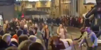 Un herido tras una estampida de bueyes en la Cabalgata de Arenas de San Pedro (Ávila)