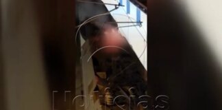 Vídeo | Las duras imágenes posteriores a la muerte de un joven electrocutado en un tren de Lleida: se colaron en zona restringida