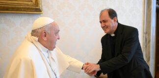 El Papa aparece con el brazo derecho en cabestrillo tras sufrir una caída en su residencia