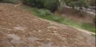 Bomberos de Valencia proponen cámaras y avisos sonoros en cauces de ríos y zonas de costa para reducir daños en caso de riadas