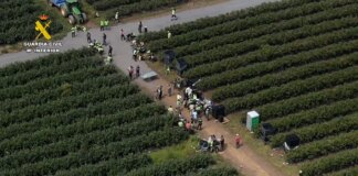 Investigadas tres personas por explotación laboral en una finca agrícola de Lugo