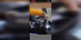 Detenido un conductor temerario por grabarse mientras conducía sin carnet y cuadriplicando el límite de velocidad