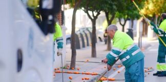 Marbella espera recoger 85.000 kilos de naranjas de los árboles municipales