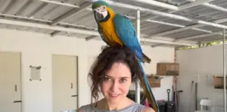 Frank Cuesta muestra imágenes de Isabel Díaz Ayuso en su santuario de Tailandia