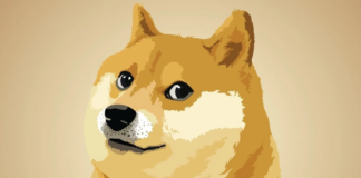 Logo de Dogecoin Aparece en la Web Del Departamento de Eficiencia Gubernamental Liderado por Elon Musk