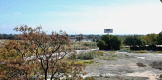 Sale a licitación una parcela municipal en San Pedro Alcántara por un millón de euros menos que hace tres meses
