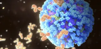 Lo peor de la epidemia de gripe está por llegar: por qué no debemos tomar antibióticos