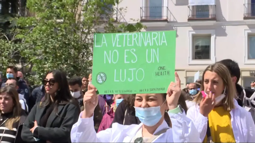 Agricultura suaviza las sanciones del sistema de control de antibióticos tras las quejas de veterinarios