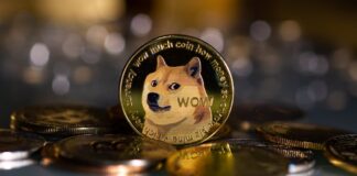 REX Presenta Solicitudes de ETFs Para TRUMP, BONK, Dogecoin, XRP y Bitcoin