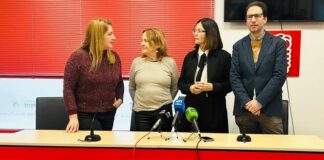 El PSOE pide un aparcamiento público subterráneo en Fuente Nueva de San Pedro Alcántara