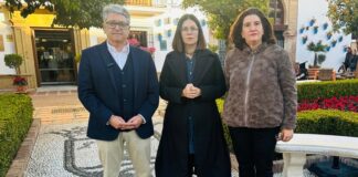 El PSOE de Marbella pide a la alcaldesa que ceda suelo de forma gratuita para construir vivienda pública
