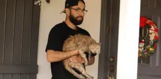 Así son los protocolos de evacuación con animales en la ciudad estadounidense