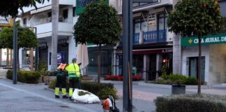 San Pedro Alcántara acomete una campaña de poda en la zona arbustiva de la calle Marqués del Duero