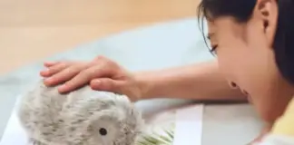 Moflin, la mascota con inteligencia artificial que arrasa en Japón: "La conexión no será la misma que con un animal"