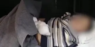 Ucrania captura con vida a dos soldados norcoreanos y Zelenski difunde sus fotos