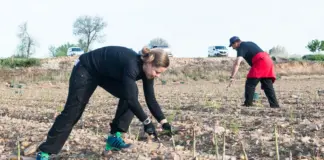 El campo alerta de que la nueva subida del Salario Mínimo disparará los costes